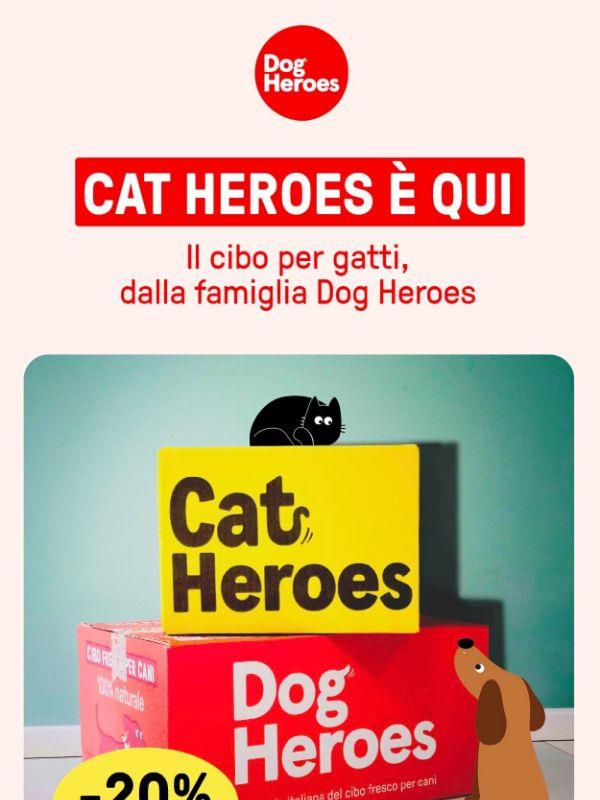 Fresca novità per chi ama anche i gatti