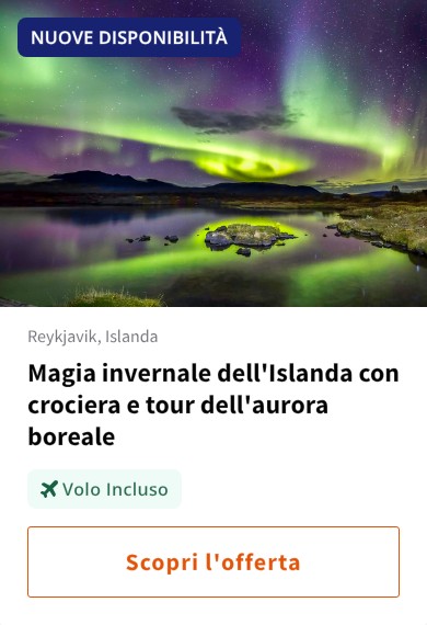 Magia invernale dell'Islanda con crociera e tour dell'aurora boreale