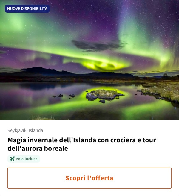 Magia invernale dell'Islanda con crociera e tour dell'aurora boreale