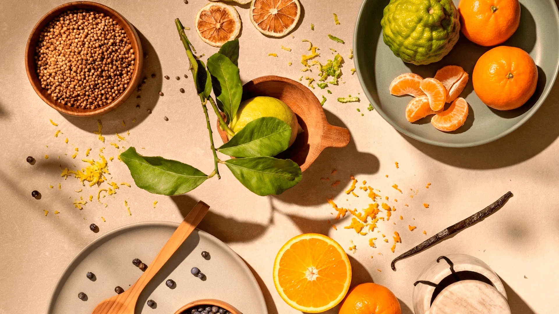 Limone di Sicilia, botanica agrumata di GIN NIRO