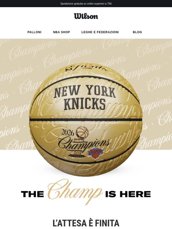 Edizione limitata: PALLONE KNICKS NBA CHAMP🏆