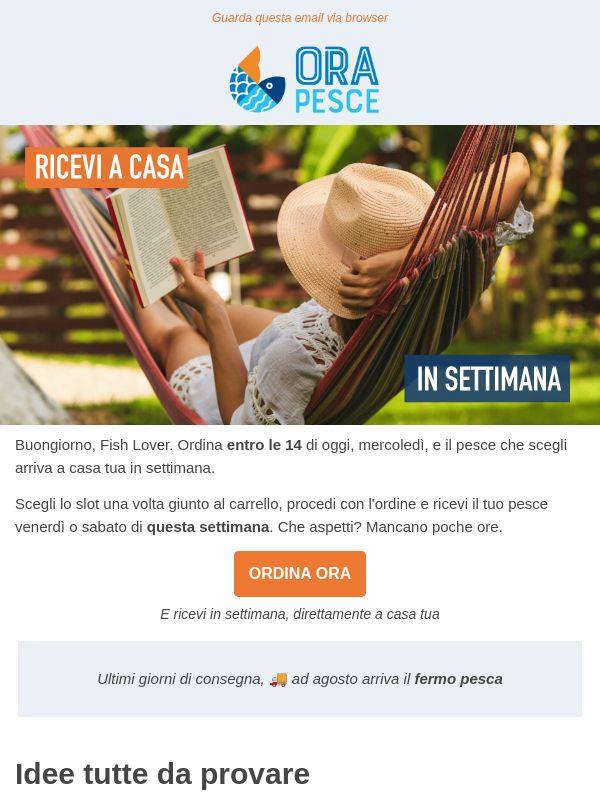 Ordina entro le 14, Fish Lover 🐟 E ricevi in settimana.