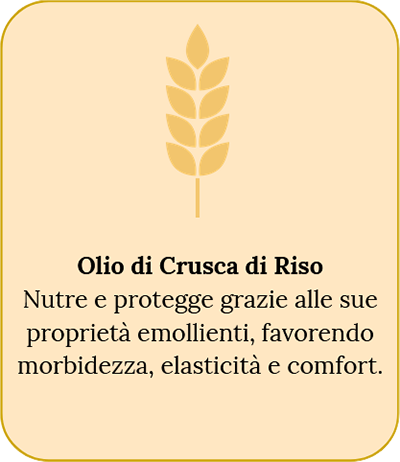 Olio di crusca di riso