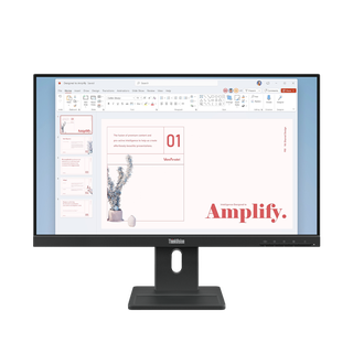 Monitor ThinkVision E24-40 23,8" FHD