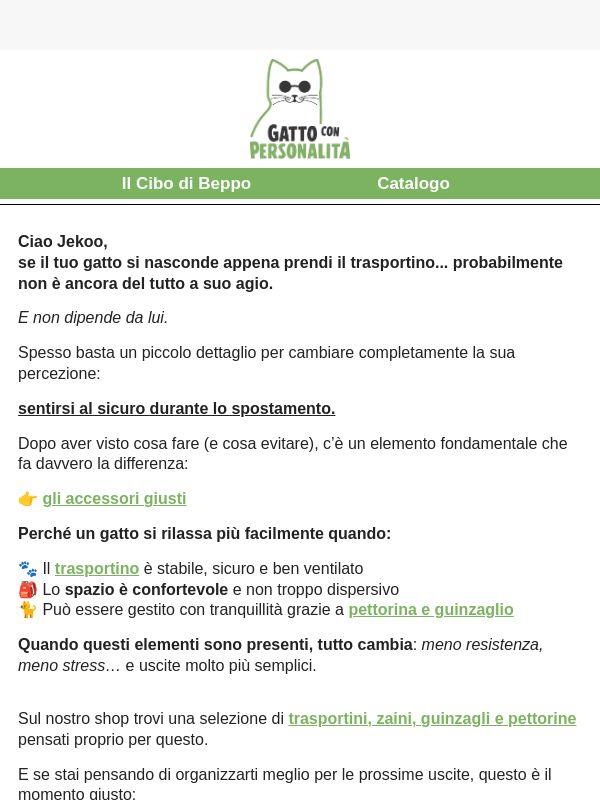 Il tuo gatto odia il trasportino?