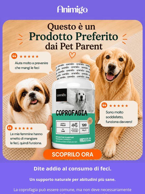 🐶 Aiutate il vostro cane a liberarsi di questa abitudine sgradevole