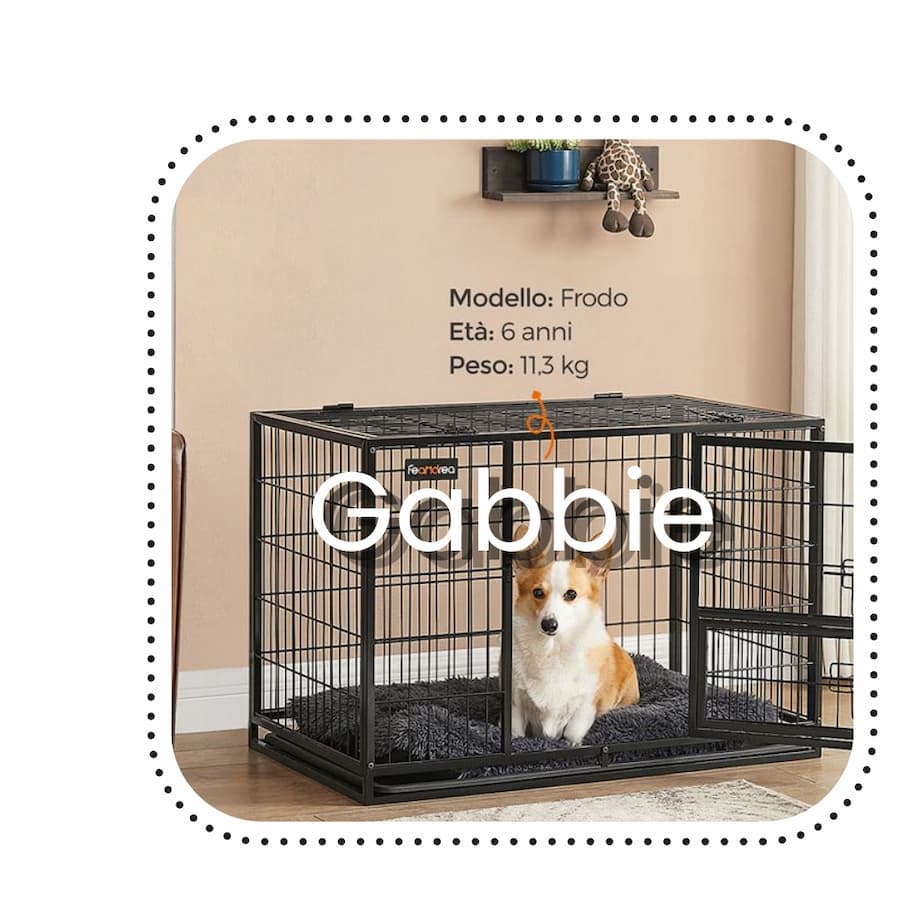 gabbie