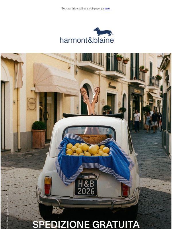 Saldi fino al -60% + Spedizione Gratuita per il weekend 🚚