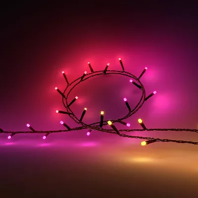 Stringa di luci Festavia