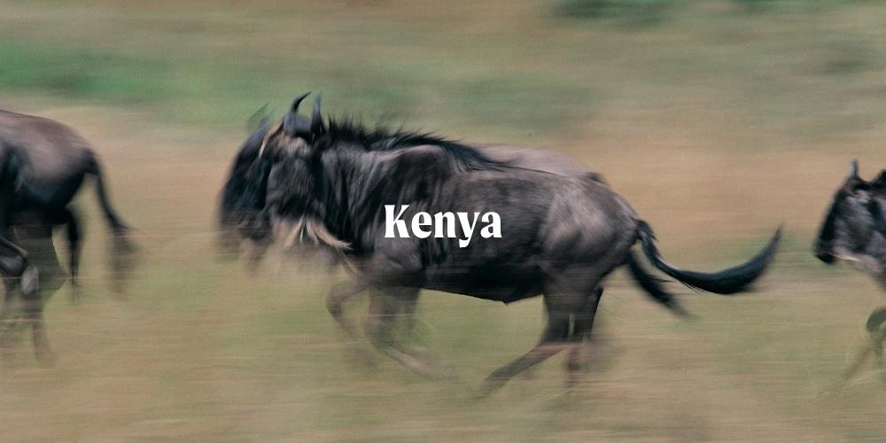 Kenya