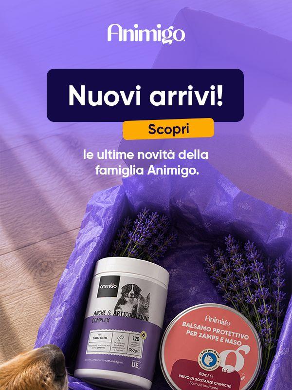 Scopri i nostri nuovi arrivi 🐾