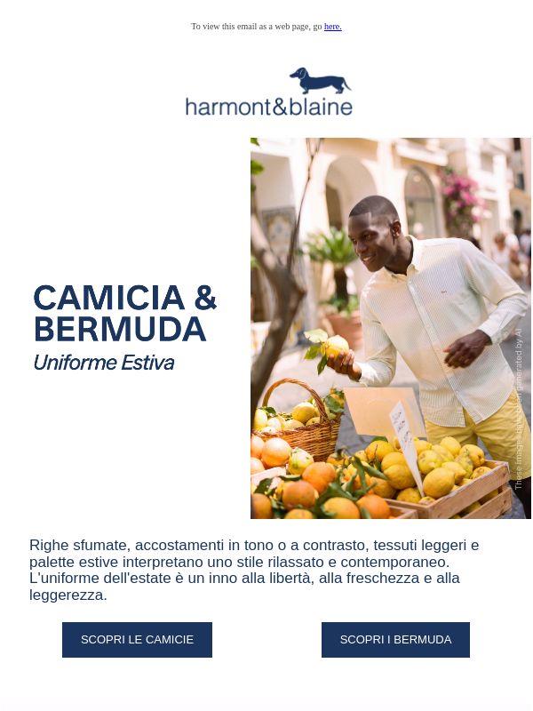 Camicia & bermuda | L'uniforme dell'estate