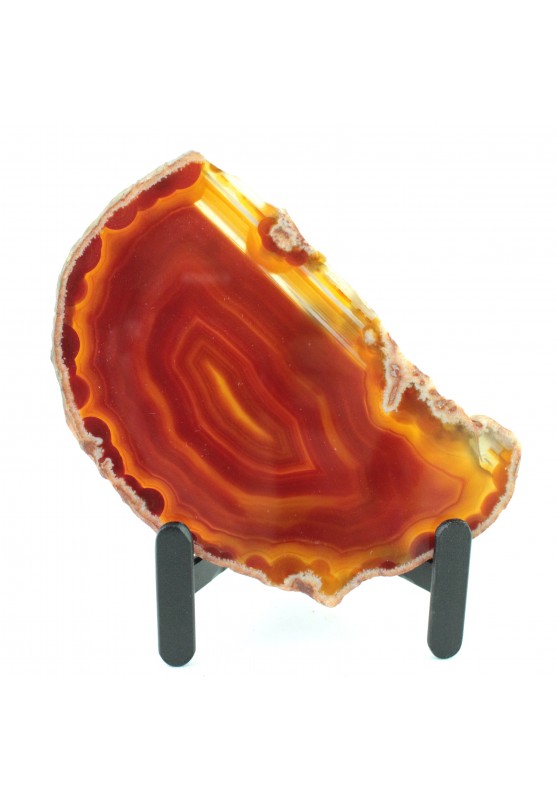 Image of Fetta di Agata Lucidata – Minerale Geode Naturale da Collezione 12cm