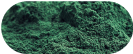 alt="Primo piano della spirulina»