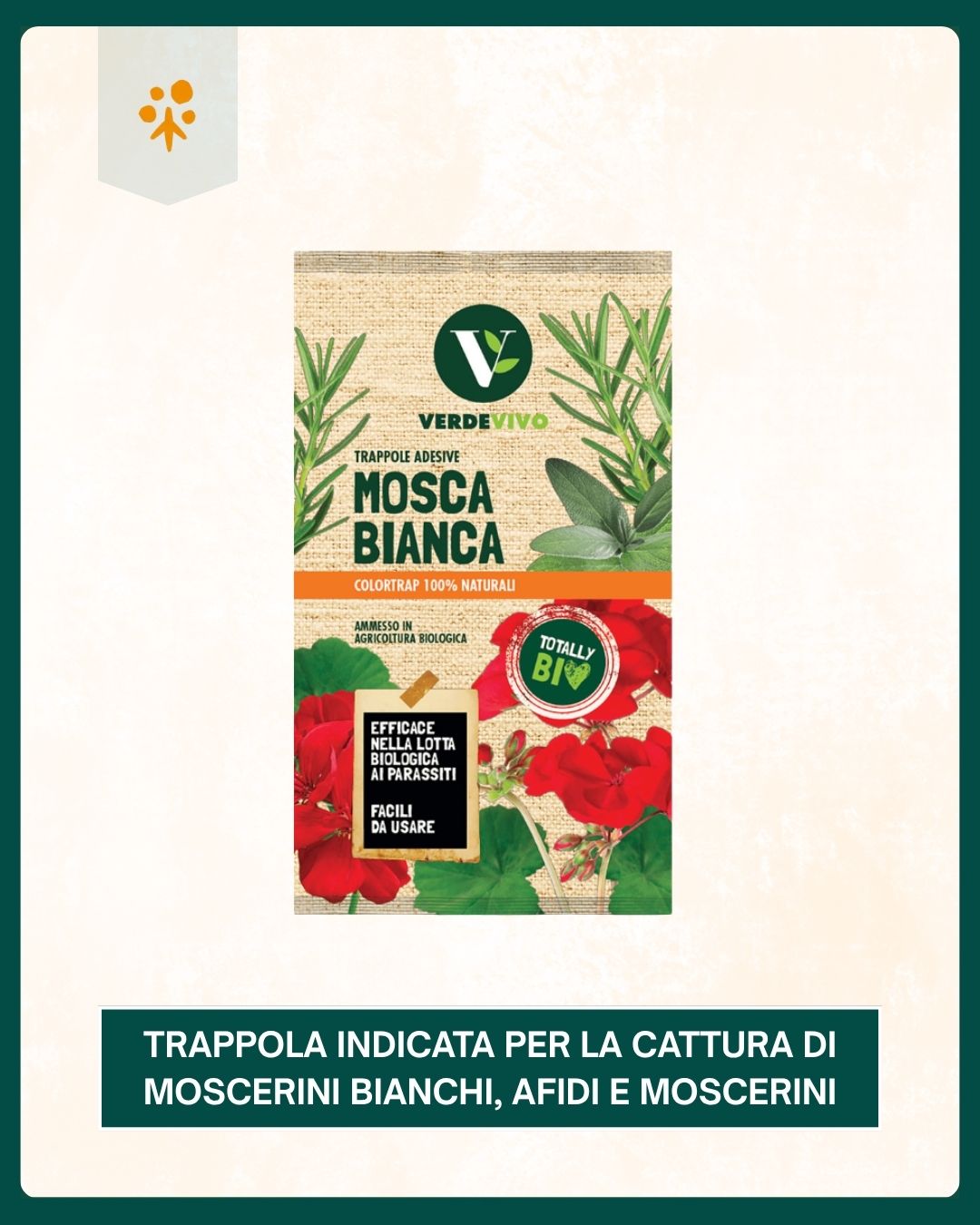 Terriccio substrato per azalee e rododendri