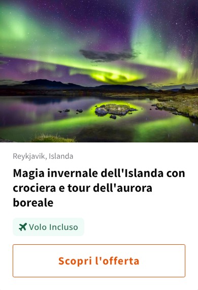 Magia invernale dell'Islanda con crociera e tour dell'aurora boreale
