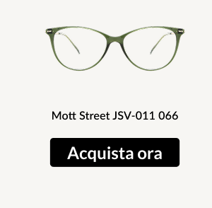 Mott Street JSV-011 066