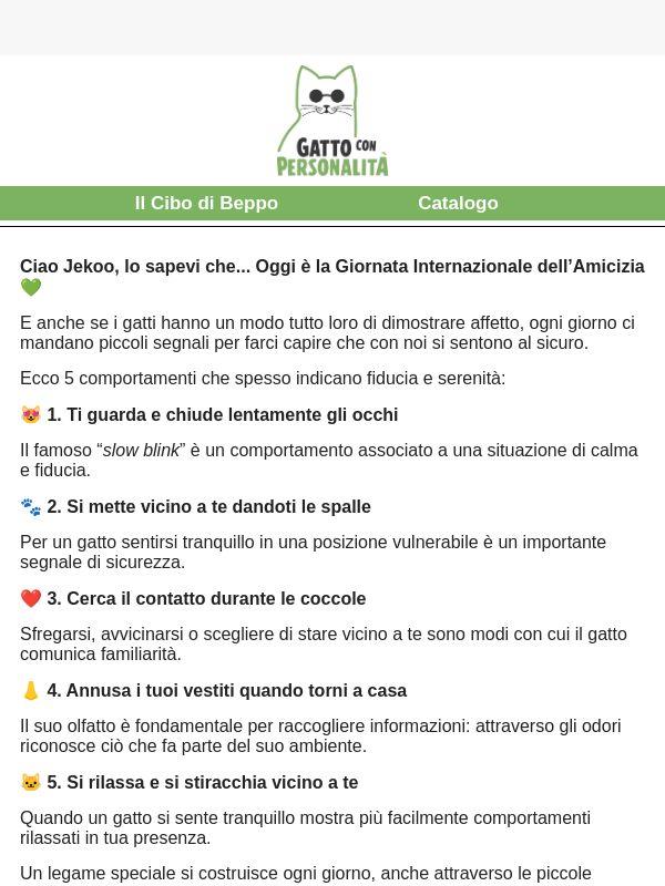 5 segnali che il tuo gatto si fida di te 😻