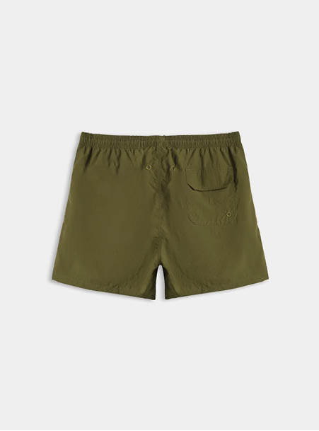 Boxer mare unito