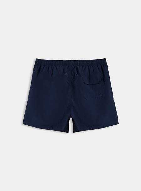 Boxer mare unito