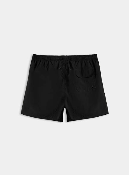Boxer mare unito