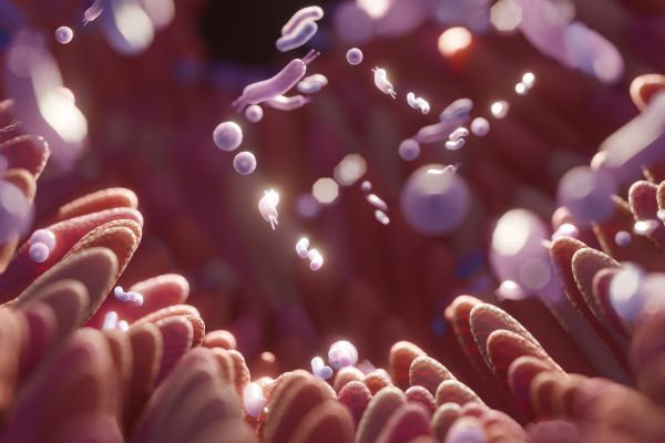 Microbioma