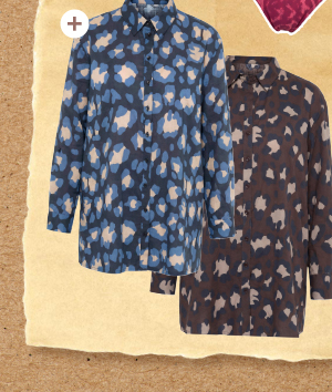 Blusa