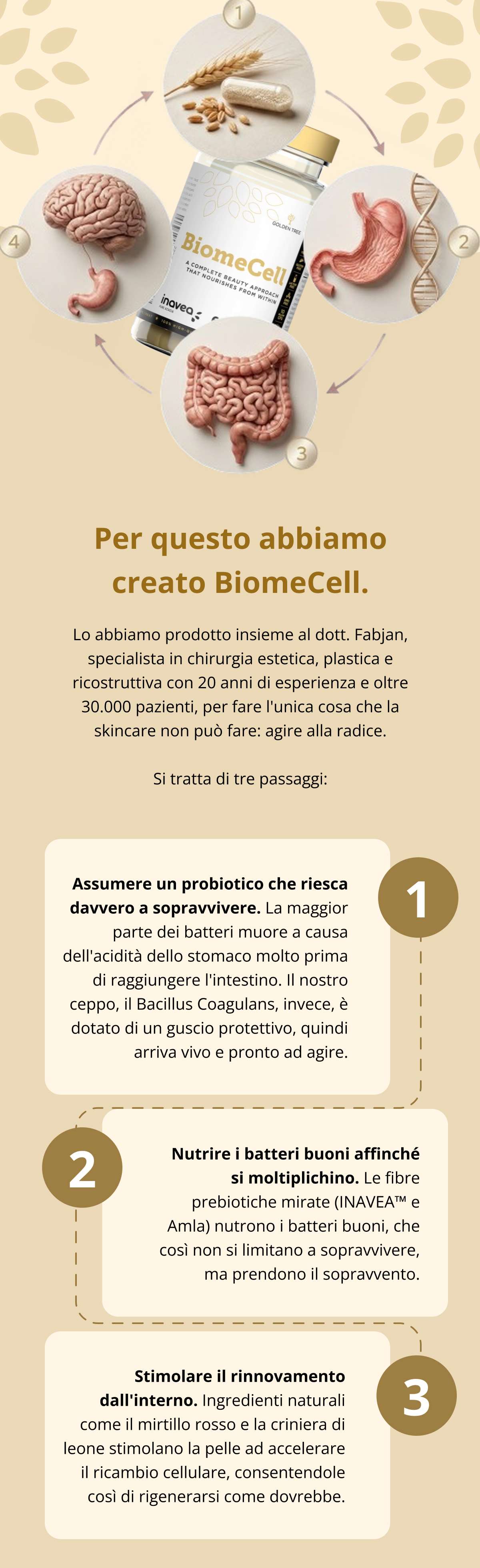 Per questo abbiamo creato BiomeCell. Lo abbiamo prodotto insieme al dott. Fabjan, specialista in chirurgia estetica, plastica e ricostruttiva con 20 anni di esperienza e oltre 30.000 pazienti, per fare l'unica cosa che la skincare non può fare: agire alla radice. Si tratta di tre passaggi: Assumere un probiotico che riesca davvero a sopravvivere. La maggior parte dei batteri muore a causa dell’acidità dello stomaco molto prima di raggiungere l’intestino. Il nostro ceppo, il Bacillus Coagulans, invece, è dotato di un guscio protettivo, quindi arriva vivo e pronto ad agire. Nutrire i batteri buoni affinché si moltiplichino. Le fibre prebiotiche mirate (INAVEA™ e Amla) nutrono i batteri buoni, che così non si limitano a sopravvivere, ma prendono il sopravvento. Stimolare il rinnovamento dall'interno. Ingredienti naturali come il mirtillo rosso e la criniera di leone stimolano la pelle ad accelerare il ricambio cellulare, consentendole così di rigenerarsi come dovrebbe.