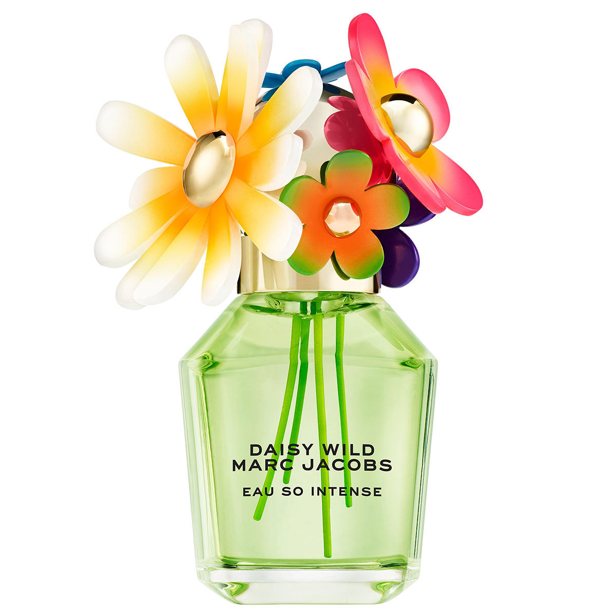 Wild Eau So Intense Eau de Parfum