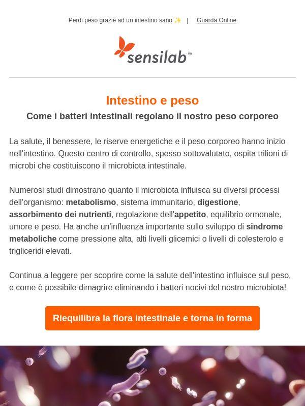 I batteri che fanno bene alla salute 🦠