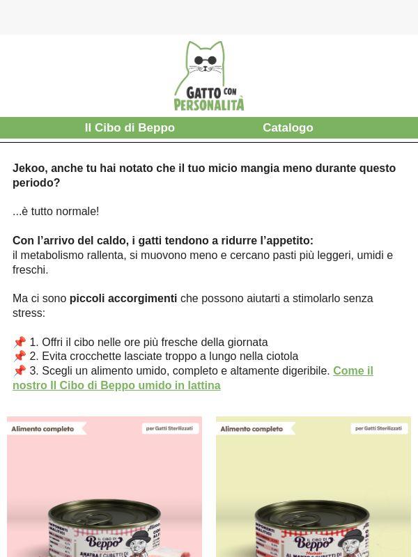 Il tuo gatto ha poco appetito?