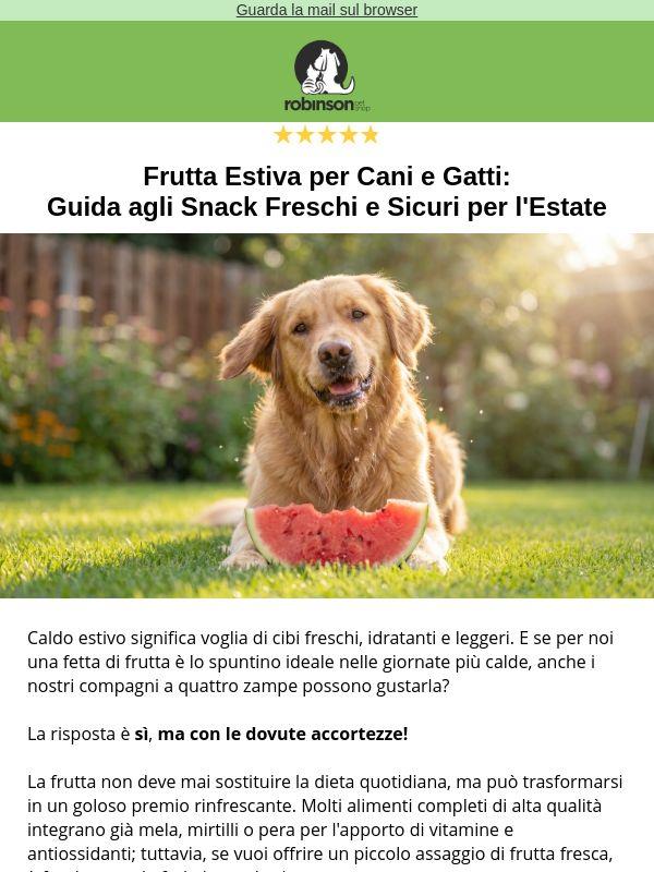 🍉 Frutta estiva al tuo pet? Scopri quale scegliere (e in che quantità) 🐾