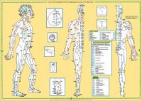 Atlante Completo dei Meridiani di Do-In e Shiatsu - Poster