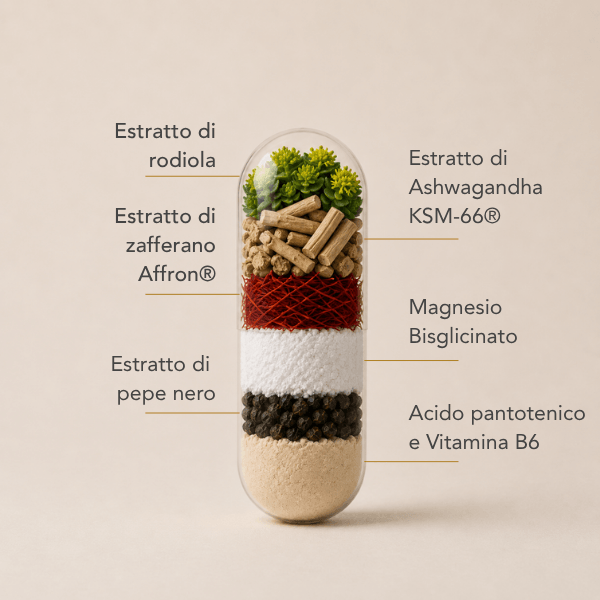 Composizione premium per il massimo supporto