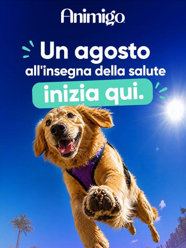 Un inizio di agosto all'insegna della salute 🐾
