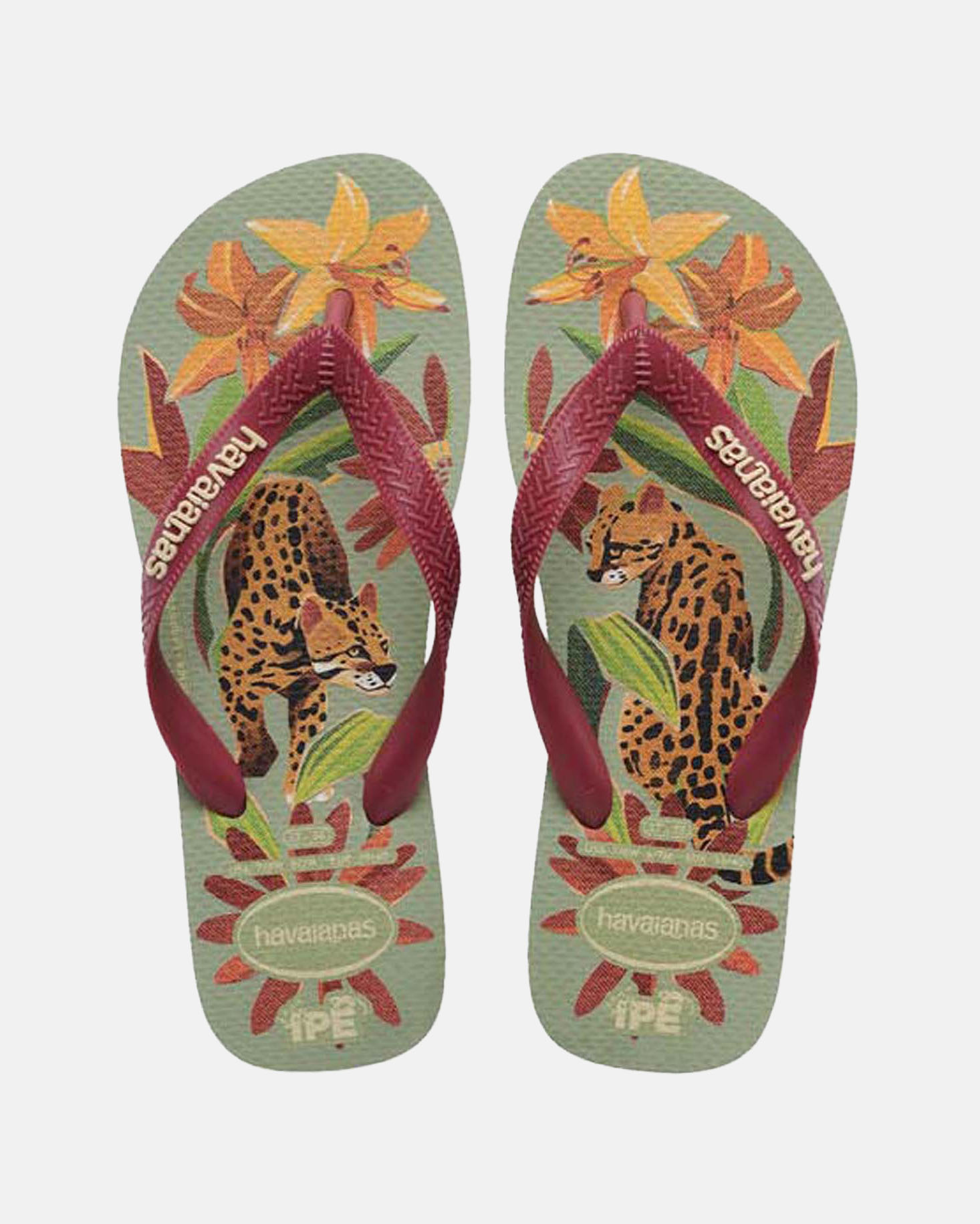 Acquista Havaianas Slim Bliss Tropical