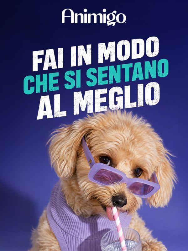 Il tuo animale domestico beve a sufficienza quest'estate?