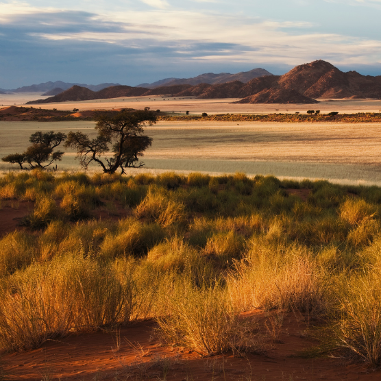 Find flights to Windhoek