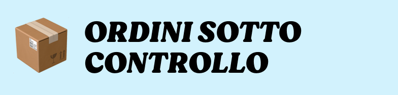 Brown cardboard parcel icon beside bold text 'ORDINI SOTTO CONTROLLO' on pale blue background, conveying organised order management
