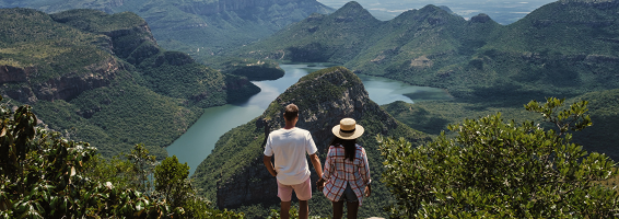 Link to flights to South Africa