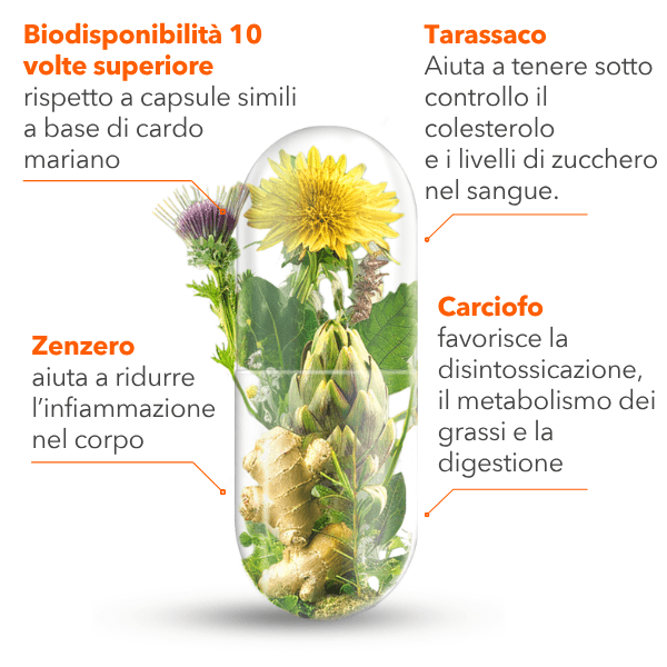 Ingredienti scelti con cura