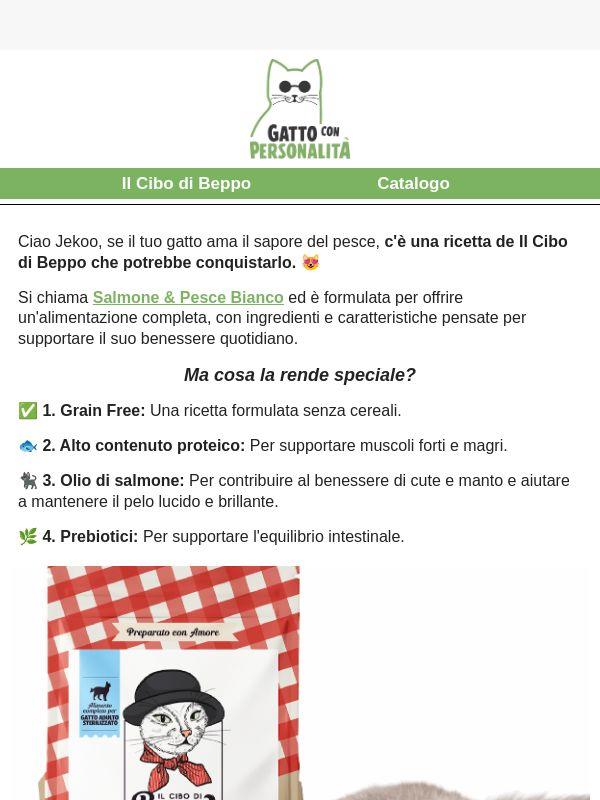 Il tuo gatto ama il pesce? 🐟