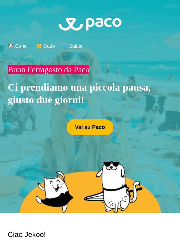Buon Ferragosto da Paco ☀️🐾