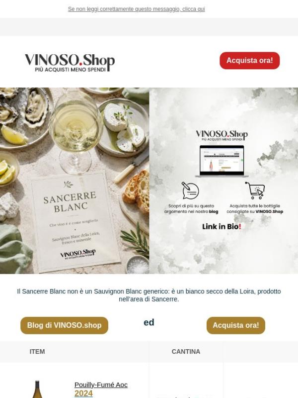 🟢 VINOSO | Il Sancerre Blanc è un bianco secco della Loira