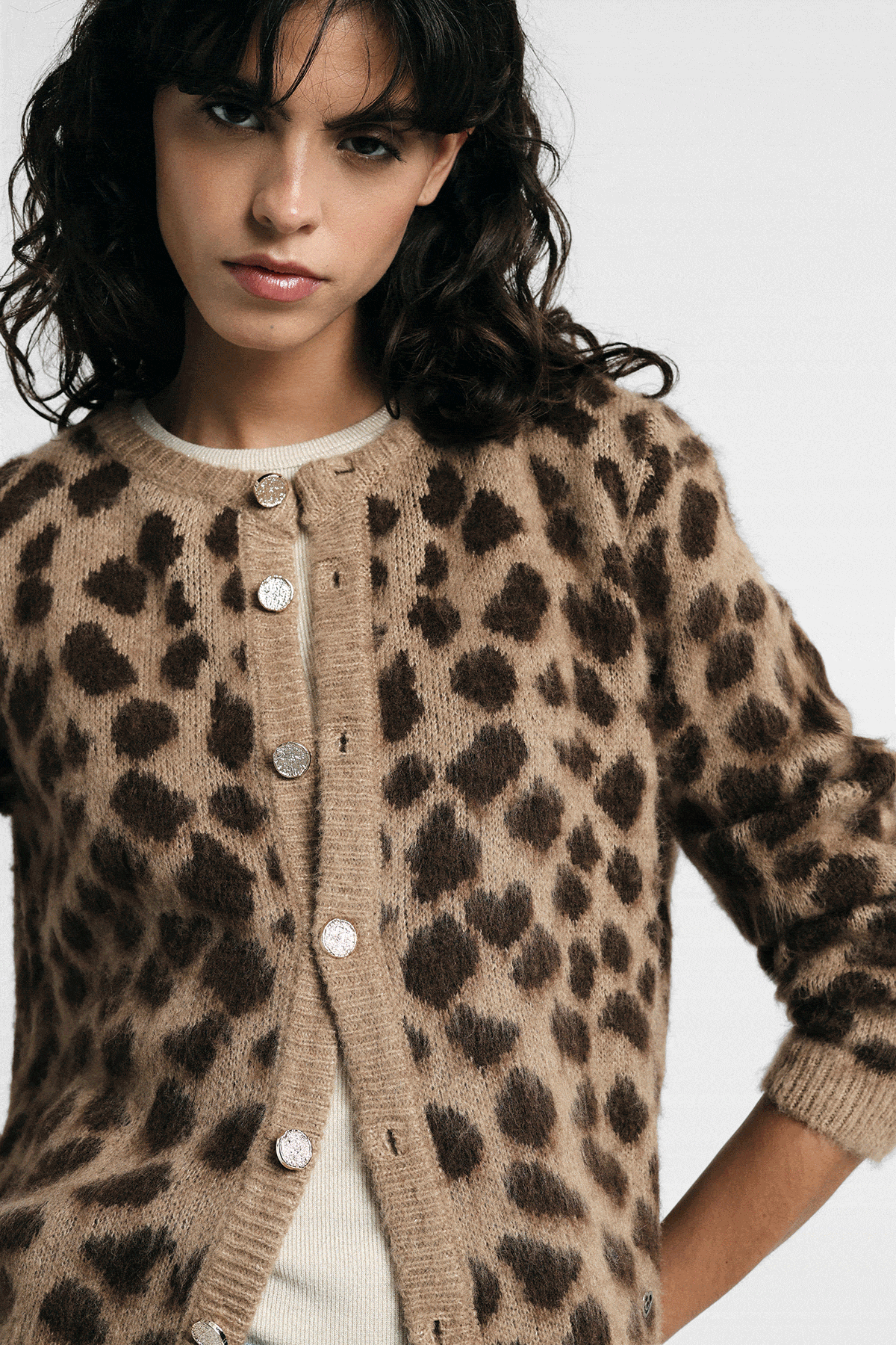 Four models wearing animal-print pieces: beige leopard cardigan, blue patterned suit, zebra top and denim, dark leopard jacket
