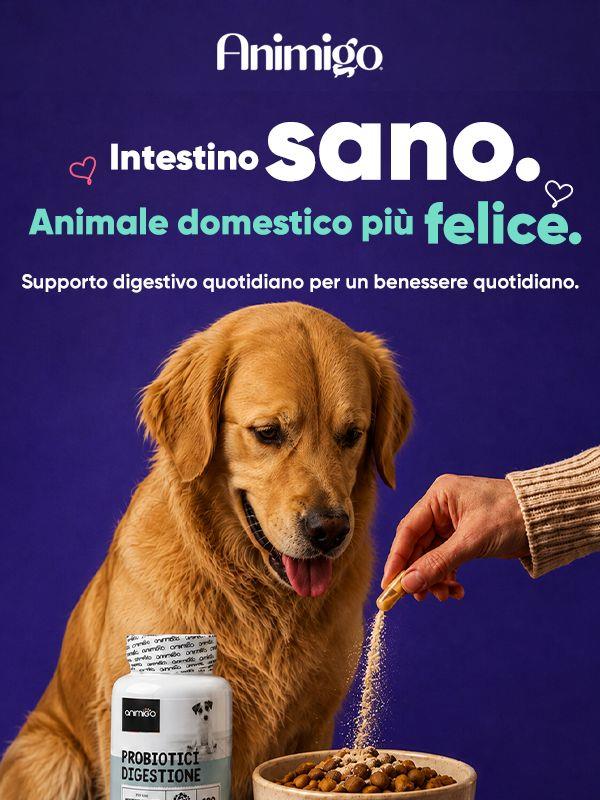 Pancia felice, animale domestico felice