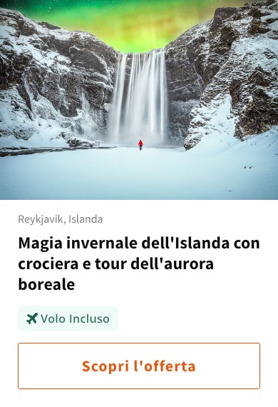 Magia invernale dell'Islanda con crociera e tour dell'aurora boreale