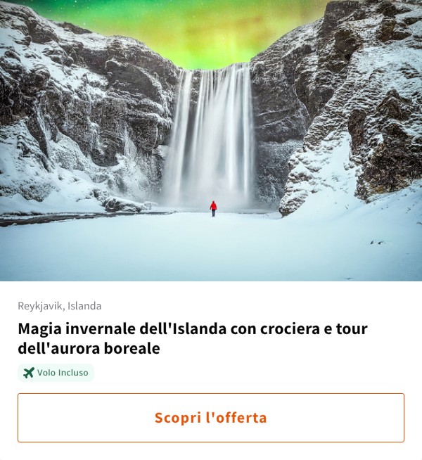 Magia invernale dell'Islanda con crociera e tour dell'aurora boreale