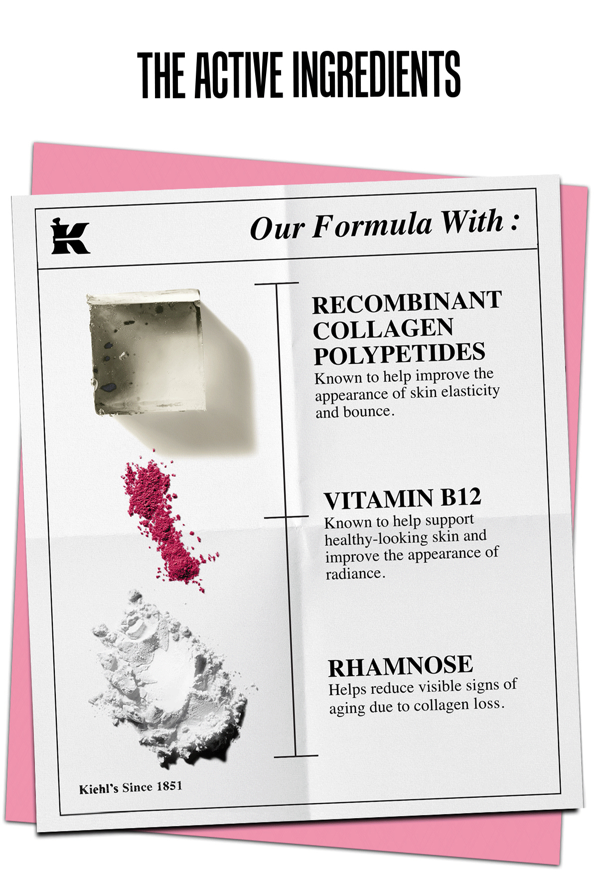 THE ACTIVE INGREDIENTS