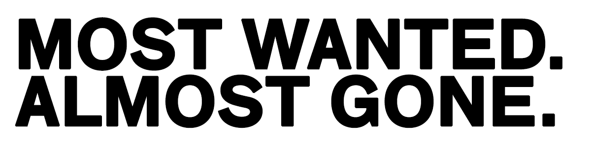 Black bold uppercase text on white background reading 'MOST WANTED. ALMOST GONE.' — promotional urgent sale message